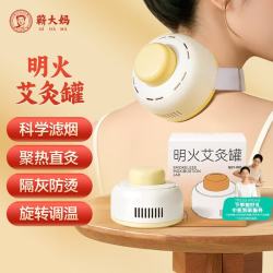 蕲大妈 明火艾灸罐+艾柱30粒 艾灸盒器具艾草艾灸新款三伏天祛湿礼物