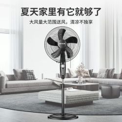 先锋 家用风扇摇头落地扇落地式立式电风扇风力FS40-16B 黑色