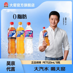 大窑 果汁汽水 嘉宾+荔想 520ml*8瓶