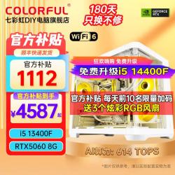 七彩虹 电竞游戏 台式电脑主机  Core i5-13400F RTX 5060 512GB 16GB