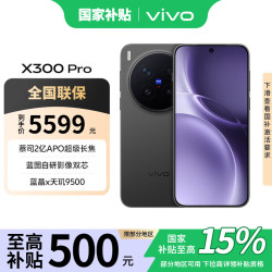 vivo X300 Pro 5G 手机 纯粹黑 12GB 256GB