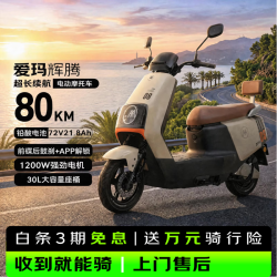 爱玛 电动摩托车辉腾72V21.8Ah大功率蓝牙智能App电动车续航110km 茶白/黑