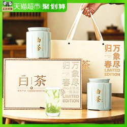承艺茗茶 安吉白茶 特级 200g