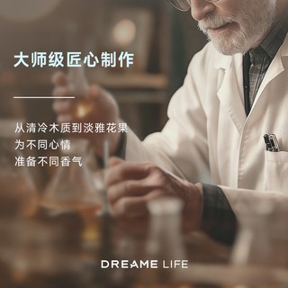 DREAME LIFE 马踏繁花车载香薰香片 6片装