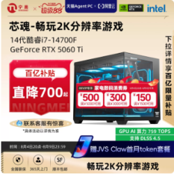 宁美 国度芯魂电脑主机i5/i7 14700F/265KF/RTX5060Ti电竞主机