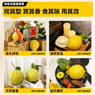 雅致 香橼果 云南特级 400-500g 1个 新鲜佛手柑