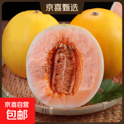 本土甘肃民勤蜜瓜  带箱9–10斤