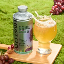星谷 旗下&霜城精酿啤酒 葡萄啵啵风味啤酒果啤 整箱装 750mL 2罐尝鲜装