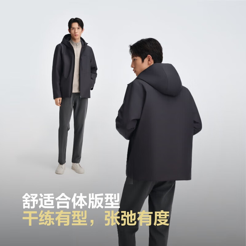 岱宗灰|8C98