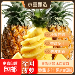 京喜 徐闻香水菠萝 3个装-单果650g起-净重4.5-5斤