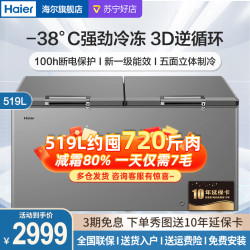 海尔 冷柜BC/BD-519GHPT