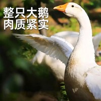 缤鲜 中国大陆 整鹅 2500g