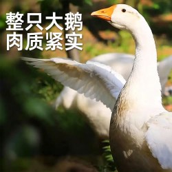 缤鲜 中国大陆 整鹅 2500g