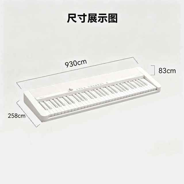 新品发售、PLUS会员：CASIO 电子琴CTFS1 白色 61键单机款