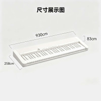 新品发售、PLUS会员：CASIO 电子琴CTFS1 白色 61键单机款