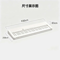 CASIO 电子琴CTFS1 白色 61键单机款