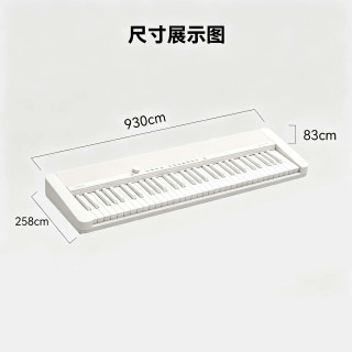 新品发售、PLUS会员：CASIO 电子琴CTFS1 白色 61键单机款
