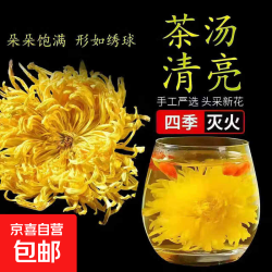 金丝皇菊特级袋装无添加正宗一朵一大杯独立包装 5袋 金丝皇菊拍二发三15袋