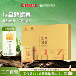川红 特级碧螺春 嫩芽浓香型 东方茶韵礼盒120g*1盒 送手提袋+茶水分离杯