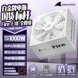 长城 Fire白金全模组电源 台式机主机电源/自动启停 F10白金全模白色ATX3.1（额定1000W）