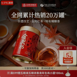 川红 特级非遗工夫红茶 浓香型 125g