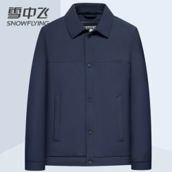 雪中飞 羽绒服男2025秋冬季新款轻暖鹅绒服短款翻领中青年冬装外套