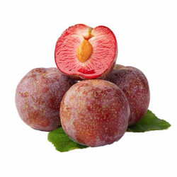 寻天果蔬 正宗新疆恐龙蛋 红心玫瑰红血李 50-80g 1斤/装