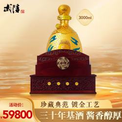 武陵酒 元帅 53度 酱香型白酒 3000mL单坛