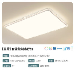 雷士 星荷仿水晶客厅灯
