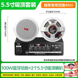 爱国者 X131Z 吸顶式音响套装