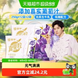 蒙牛 葡萄牛奶饮品