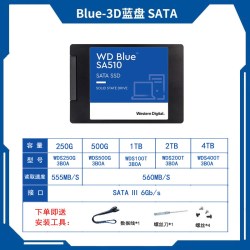 西部数据 SA510 固态硬盘