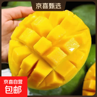 京喜加 凯特芒果新鲜特产水果 净重4.5斤单果500g