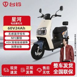 台铃 星河 电动摩托车 60V24Ah