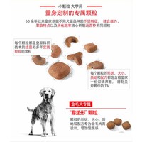 88VIP:皇家 狗粮金毛成犬全价粮金毛专用美毛营养主粮GR25/12KG