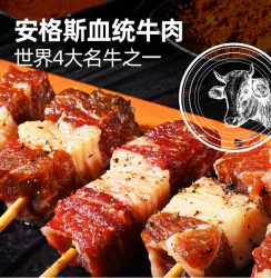 大希地 烧烤自由就现在！安格斯牛肉串 120g 十几款任选 在家撸串