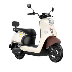 新日 丽曼电动摩托车 60v5块铅酸电池76km长续航大踏板