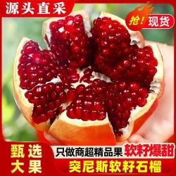 黄六爷 现货突尼斯软籽石榴 5斤