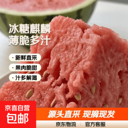 正宗冰糖麒麟西瓜源头直采超甜薄皮新鲜大西瓜 瓜越大越甜 6-7斤整颗(1-2人）