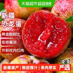 寻天果蔬 正宗新疆恐龙蛋李子新鲜应季水果现摘红心杏李时令玫瑰血丝李红肉