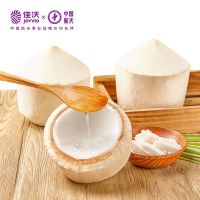 佳沃 泰国香水椰青 9个大果单果900g起 椰子