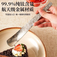 纳有风 纯钛甜品勺 19.7cm