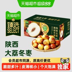 末浅 陕西大荔冬枣 1.8斤/2.7斤/4.5斤 顺丰直发