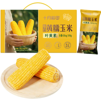 十月稻田 满满叶黄素！十月稻田 黄甜糯玉米 10根 4.4斤