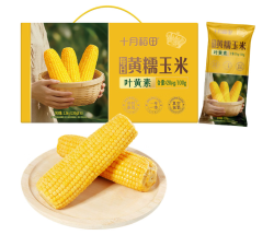 十月稻田 满满叶黄素！十月稻田 黄甜糯玉米 10根 4.4斤