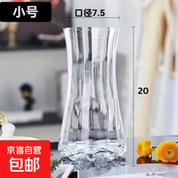 京喜 特大号轻奢创意简约玻璃花瓶透明水养鲜花北欧ins风客厅插花摆件 透明太阳花