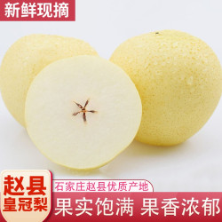 YUANDA 远达 赵县特产皇冠梨带箱5斤