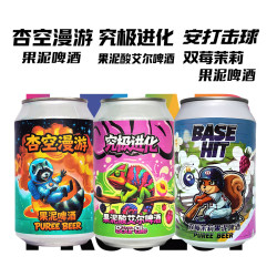 跃迁计划果泥精酿啤酒组合装330ml*6罐