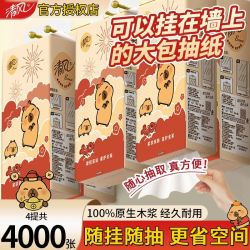 清风 【到手4提清风卡皮巴拉挂抽悬挂抽纸大包卫生纸下拉式家用纸巾