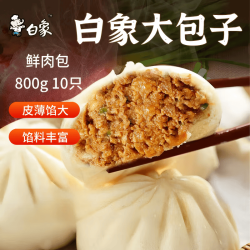 白象 鲜肉包子800g 10个装 早餐包子馒头半成品 生鲜速冻面点 速食食品